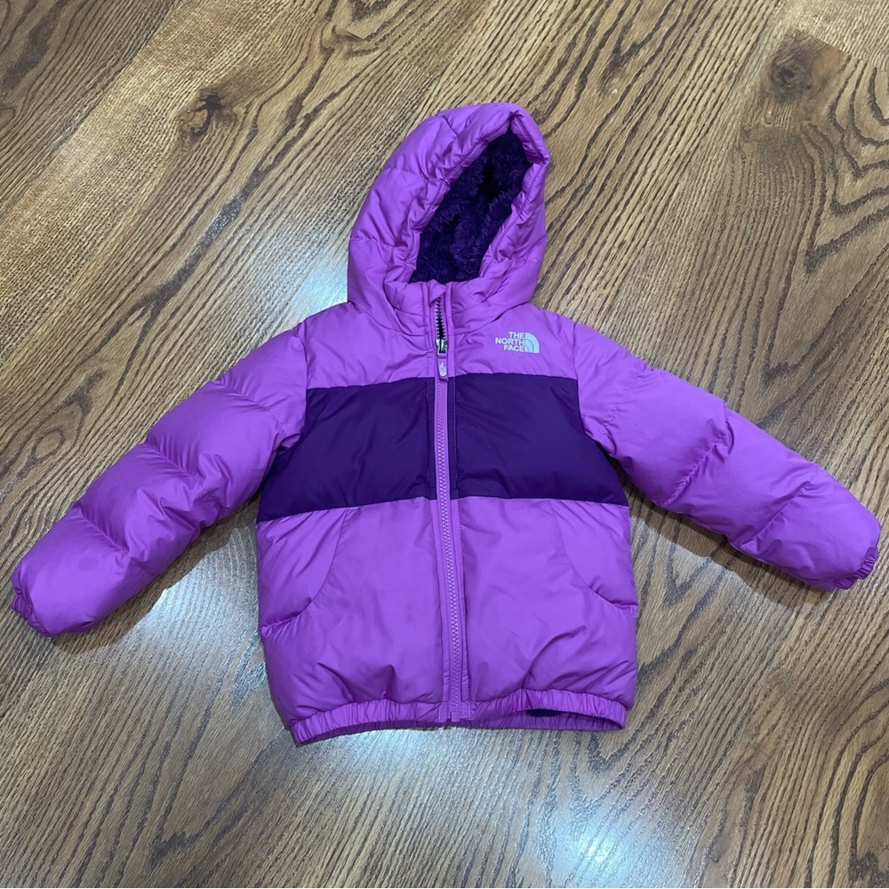 The Northface Moondoggy 550 jacket